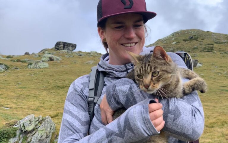 Tiere als Seelenbegleiter